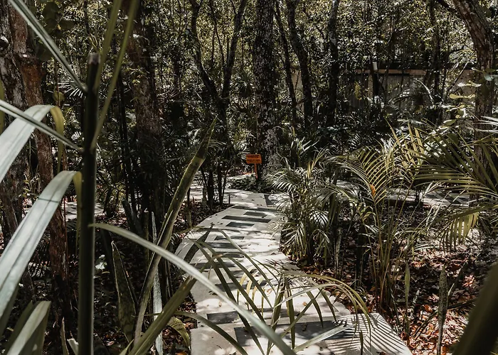 Kaaba Luum Jungle Villa Chemuyil